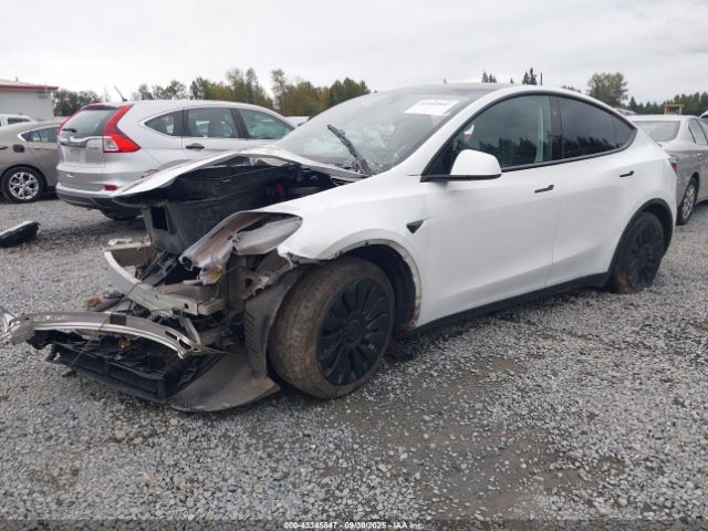 2023 TESLA MODEL Y 7SAYGAEE1PF860755 Photo 1