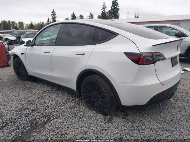 2023 TESLA MODEL Y 7SAYGAEE1PF860755 Photo 2