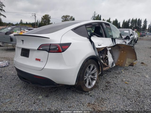2023 TESLA MODEL Y 7SAYGAEE1PF860755 Photo 3