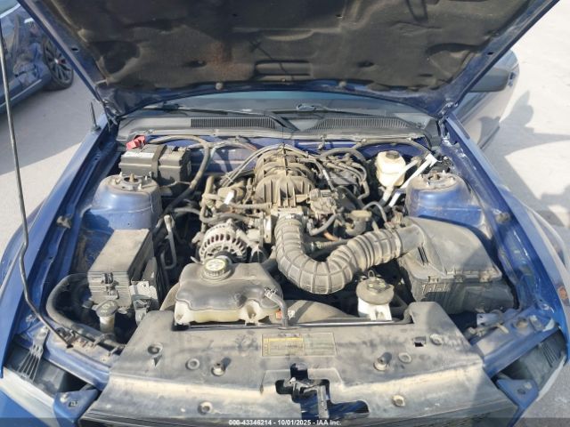 2007 FORD MUSTANG 1ZVFT80N275244559 Photo 9