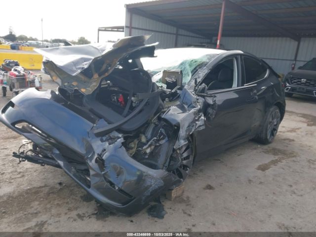 2024 TESLA MODEL Y 7SAYGDEF9RF050481 Photo 1