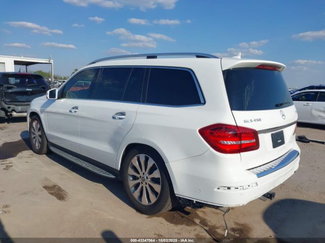 2019 MERCEDES-BENZ GLS 450 4JGDF6EE0KB226064 Photo 2