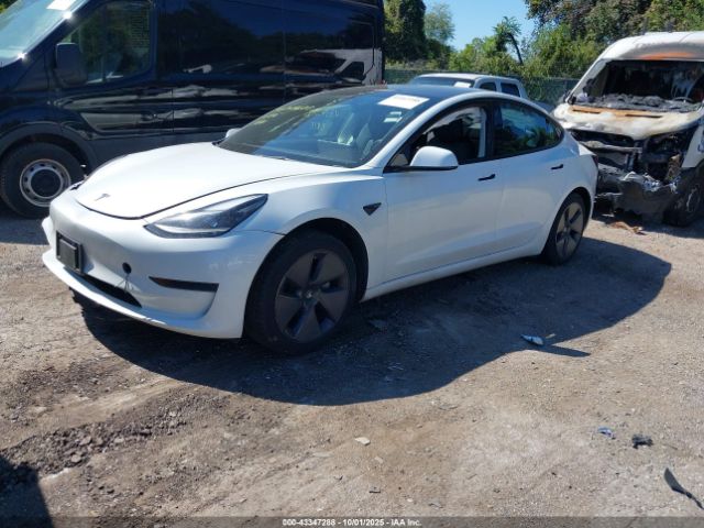 2023 TESLA MODEL 3 5YJ3E1EA2PF400787 Photo 1