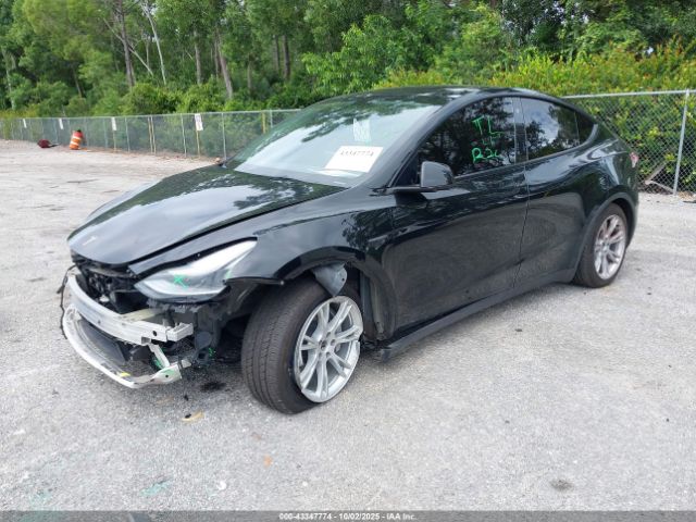 2023 TESLA MODEL Y 7SAYGDEE7PF768213 Photo 1