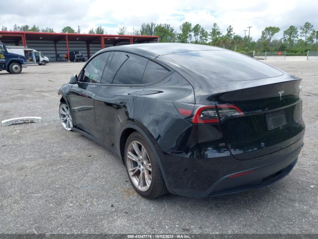 2023 TESLA MODEL Y 7SAYGDEE7PF768213 Photo 2