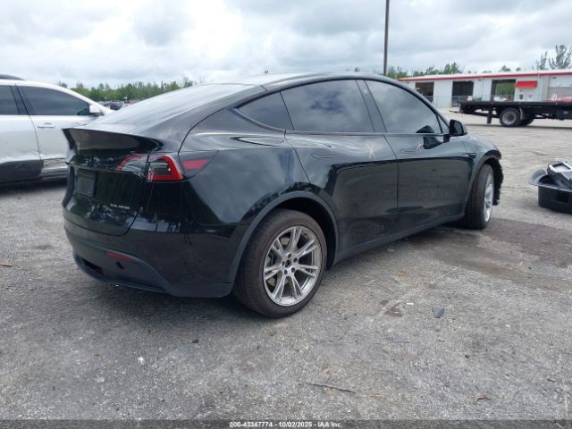 2023 TESLA MODEL Y 7SAYGDEE7PF768213 Photo 3