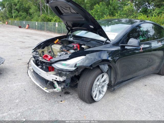 2023 TESLA MODEL Y 7SAYGDEE7PF768213 Photo 5