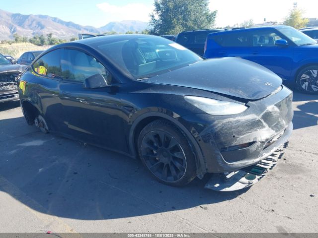 2021 TESLA MODEL Y 5YJYGDEE0MF187161 Photo 0