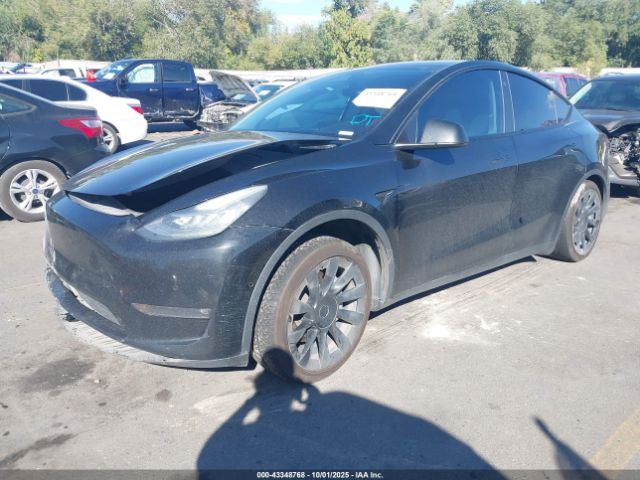 2021 TESLA MODEL Y 5YJYGDEE0MF187161 Photo 1