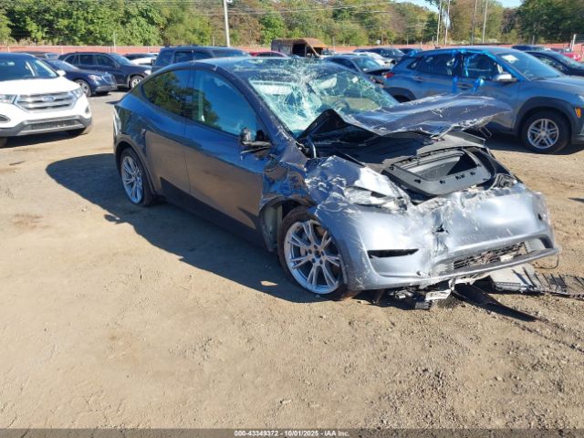 2023 TESLA MODEL Y 7SAYGDEE9PA053589 Photo 0