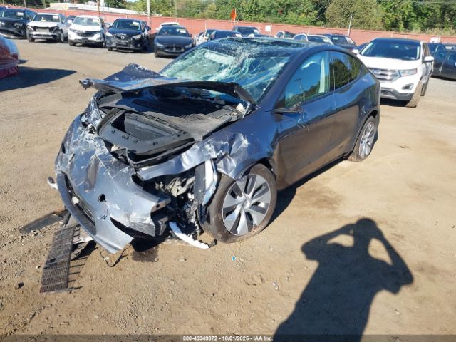 2023 TESLA MODEL Y 7SAYGDEE9PA053589 Photo 1