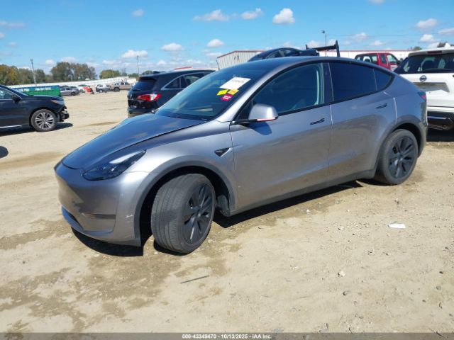 2024 TESLA MODEL Y 7SAYGDED4RA327324 Photo 1