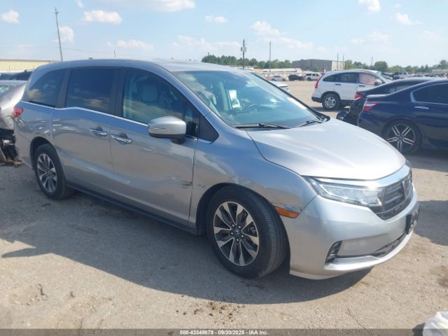2023 HONDA ODYSSEY 5FNRL6H63PB071151