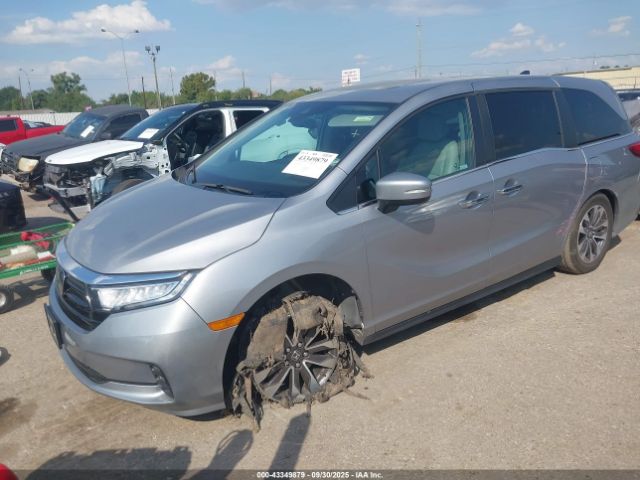 2023 HONDA ODYSSEY 5FNRL6H63PB071151 Photo 1