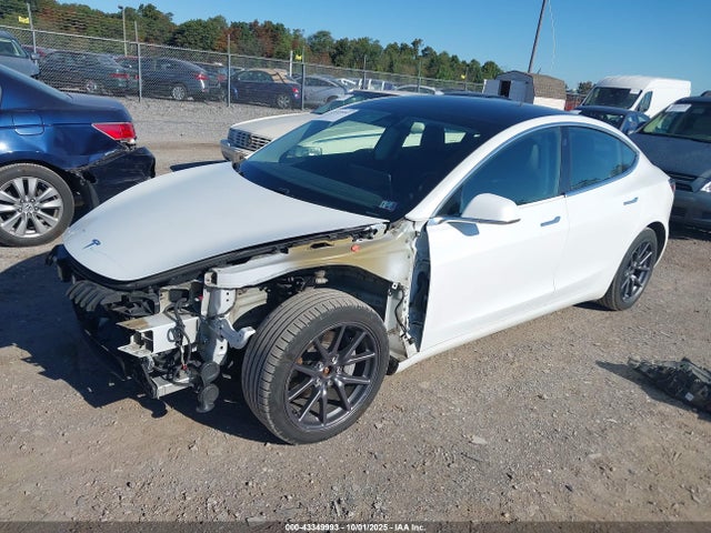 Tesla 2020 2020 5YJ3E1EB6LF618380 Image 2