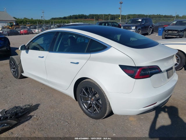 Tesla 2020 2020 5YJ3E1EB6LF618380 Image 3