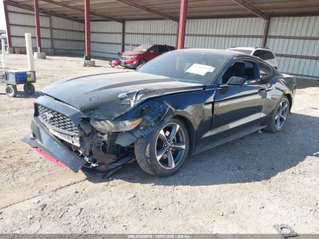 2015 FORD MUSTANG 1FA6P8AM6F5338378 Photo 1