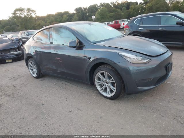 2022 TESLA MODEL Y 7SAYGDEE6NA011670