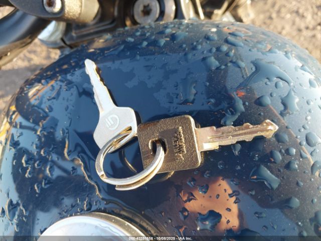 2020 HARLEY-DAVIDSON XL1200 1HD1LP310LB421765 Photo 10