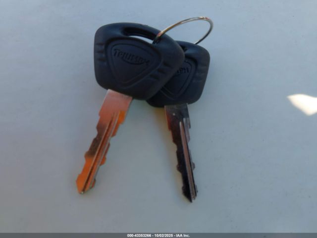 2010 TRIUMPH MOTORCYCLE THUNDERBIRD SMTB01TL0AJ445002 Photo 10