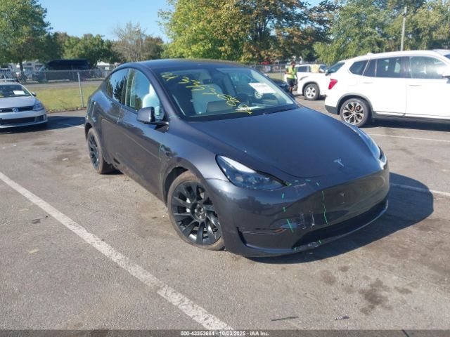 2025 TESLA MODEL Y 7SAYGAEEXSF250779