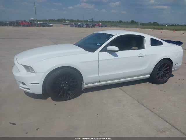 1ZVBP8AM5E5315162 Ford 2014