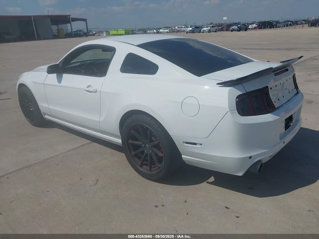 1ZVBP8AM5E5315162 Ford 2014