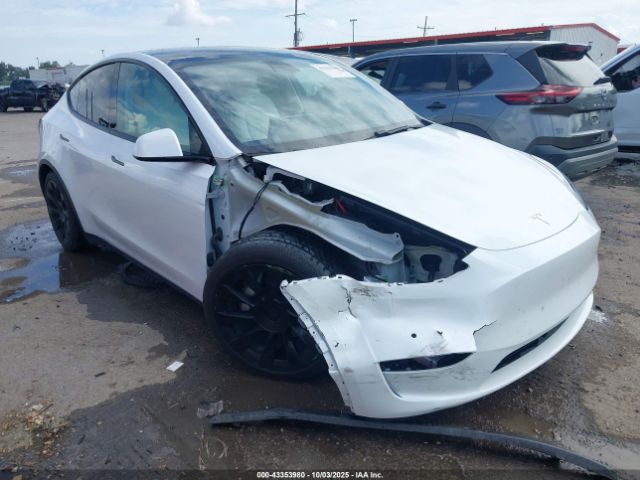 2021 TESLA MODEL Y 5YJYGDEEXMF075127 Photo 0