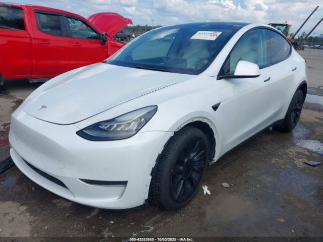 2021 TESLA MODEL Y 5YJYGDEEXMF075127 Photo 1