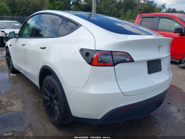 2021 TESLA MODEL Y 5YJYGDEEXMF075127 Photo 2