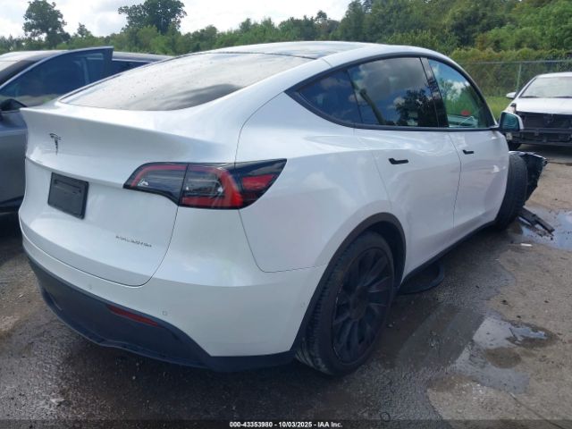 2021 TESLA MODEL Y 5YJYGDEEXMF075127 Photo 3