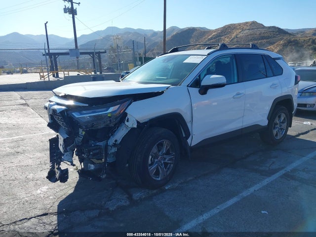 Toyota Rav4 Xle 2024 2T3W1RFV2RW330956 Image 2