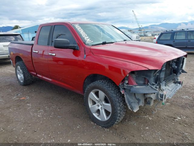 2009 DODGE RAM 1500 1D3HV18T19S809217