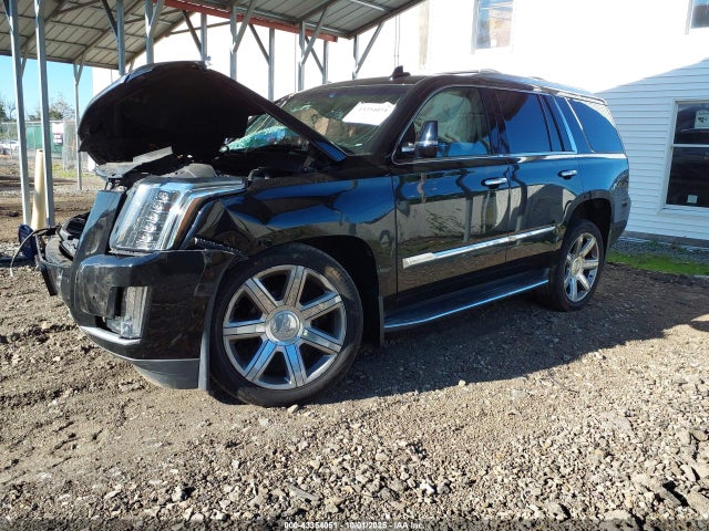 2016 CADILLAC ESCALADE 1GYS4BKJ3GR370244 Photo 1