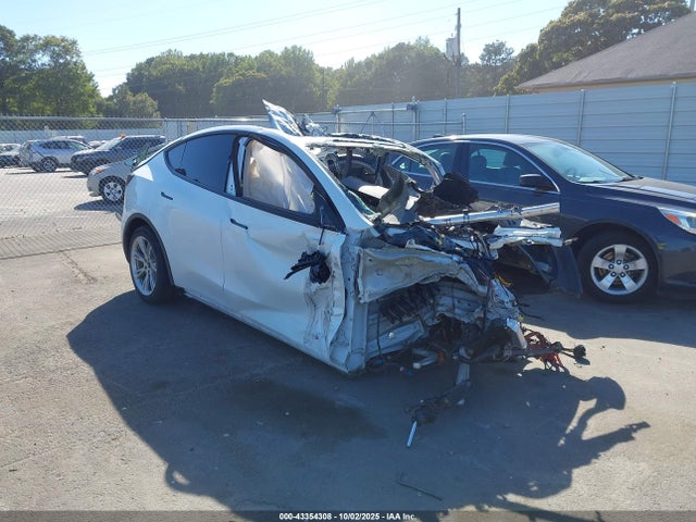 2020 TESLA MODEL Y 5YJYGDEE9LF039492 Photo 0