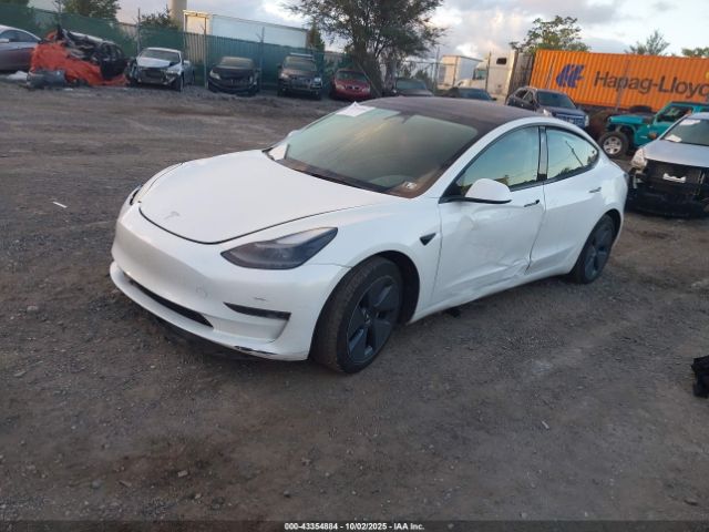 2023 TESLA MODEL 3 5YJ3E1EA3PF411202 Photo 1