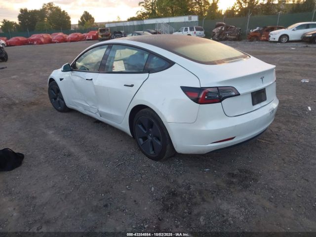 2023 TESLA MODEL 3 5YJ3E1EA3PF411202 Photo 2