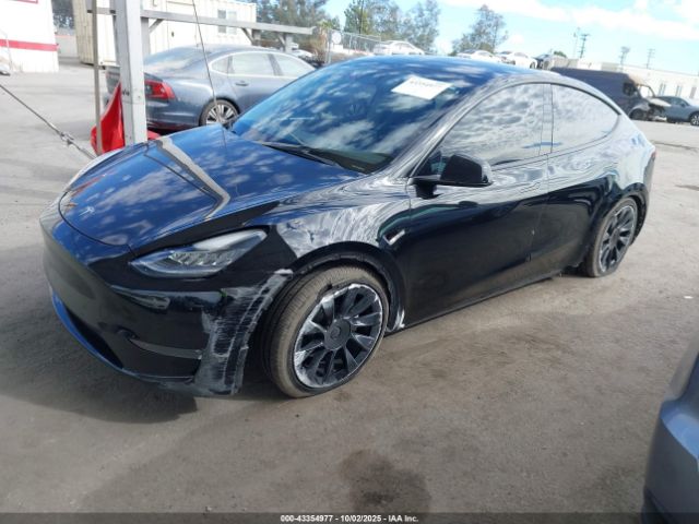 2023 TESLA MODEL Y 7SAYGDEE5PA094933 Photo 1