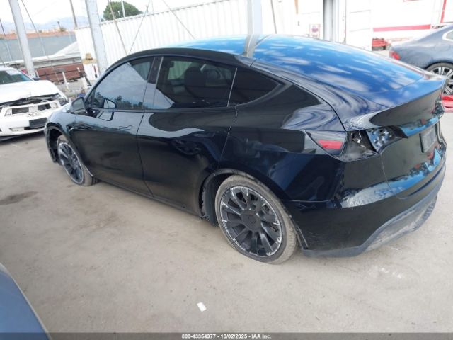 2023 TESLA MODEL Y 7SAYGDEE5PA094933 Photo 2