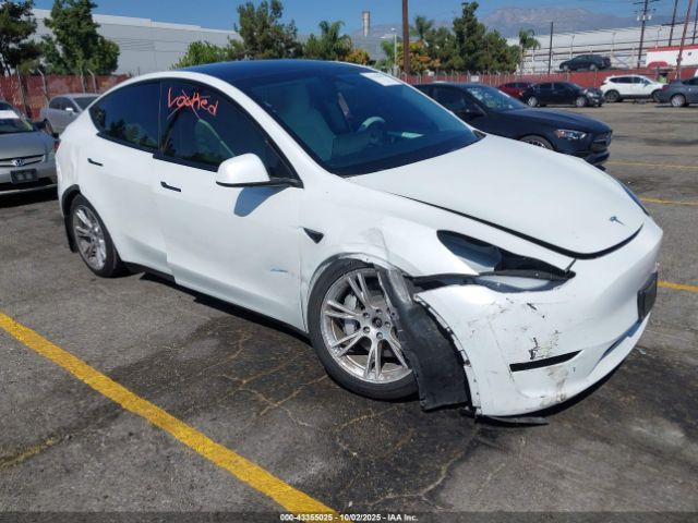 2023 TESLA MODEL Y 7SAYGAEE0PF806900 Photo 0