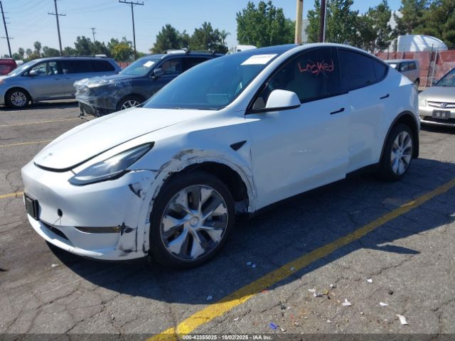 2023 TESLA MODEL Y 7SAYGAEE0PF806900 Photo 1