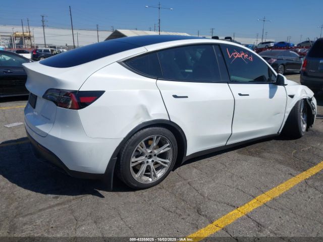 2023 TESLA MODEL Y 7SAYGAEE0PF806900 Photo 3