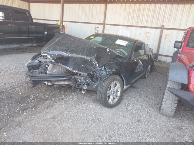 2013 FORD MUSTANG 1ZVBP8AM7D5209312 Photo 1