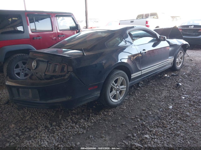 2013 FORD MUSTANG 1ZVBP8AM7D5209312 Photo 3