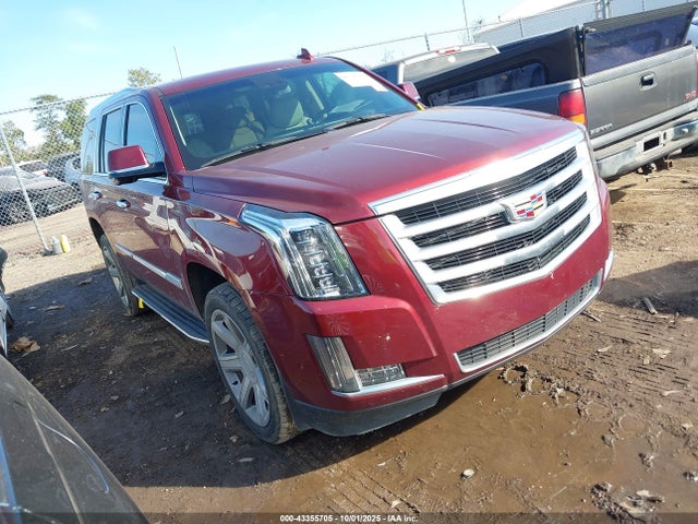 2019 CADILLAC ESCALADE 1GYS3BKJXKR379213 Photo 0