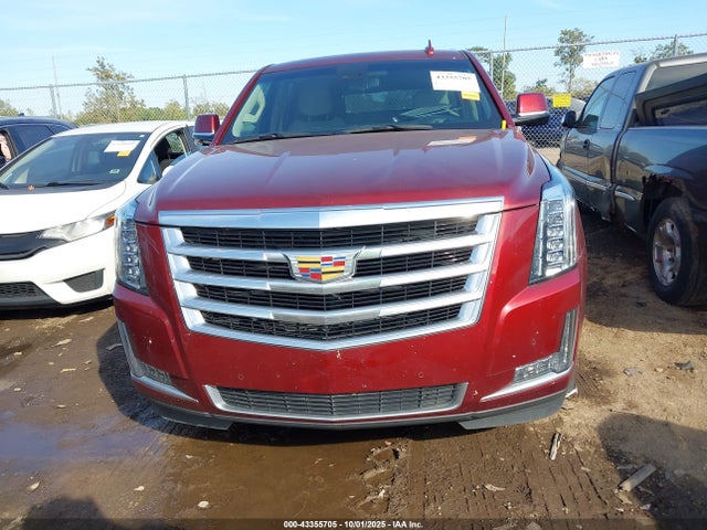 2019 CADILLAC ESCALADE 1GYS3BKJXKR379213 Photo 5