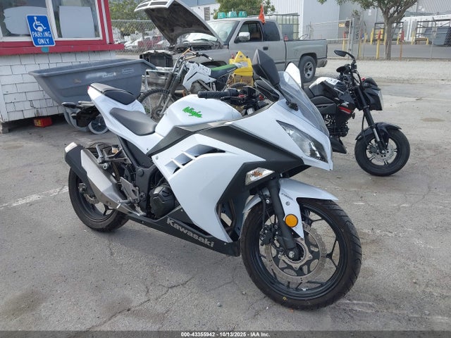 Kawasaki Ninja 300 2015 JKAEX8B15FDA20491 Image 12
