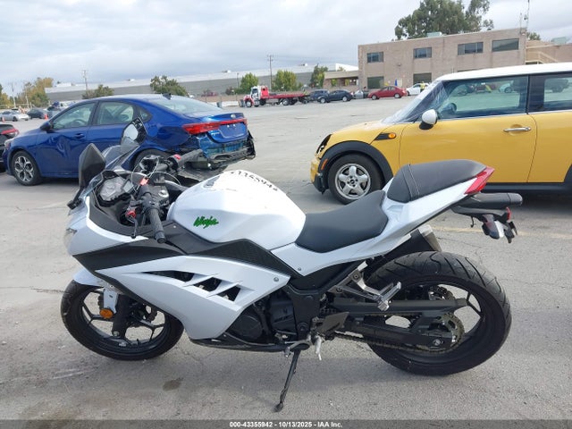 Kawasaki Ninja 300 2015 JKAEX8B15FDA20491 Image 13