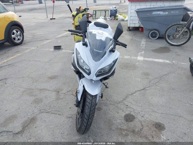 Kawasaki Ninja 300 2015 JKAEX8B15FDA20491 Image 5