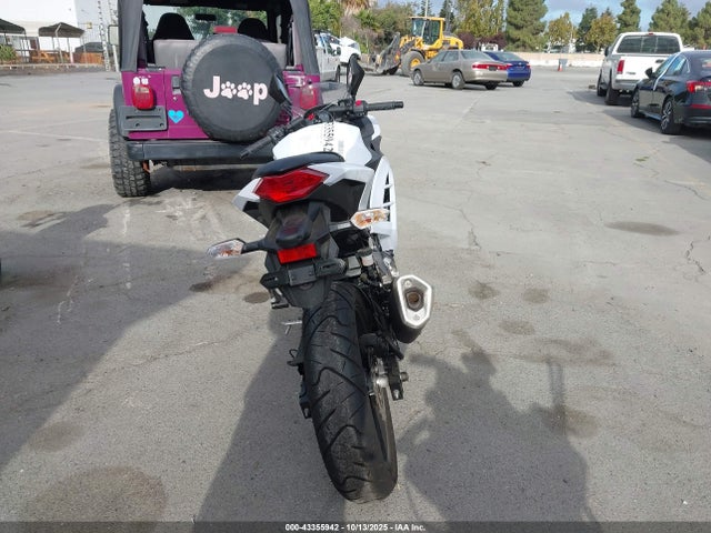 Kawasaki Ninja 300 2015 JKAEX8B15FDA20491 Image 6